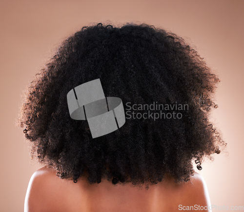 Image of Natural hair, black woman with afro and beauty, haircare and cosmetics with back on studio background. Female, cosmetic treatment with curly hairstyle, rear view and texture with hygiene and grooming