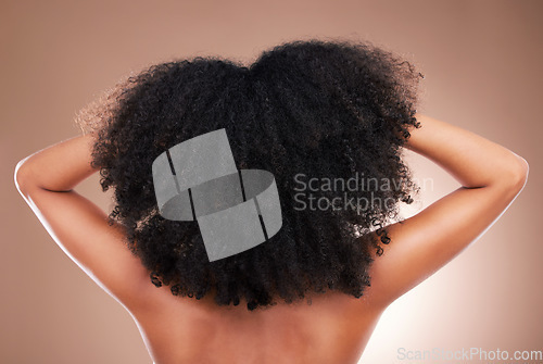 Image of Hair, black woman with afro and beauty, haircare and natural cosmetics, back on studio background. Female, cosmetic treatment with curly hairstyle, rear view and texture, person arms with grooming