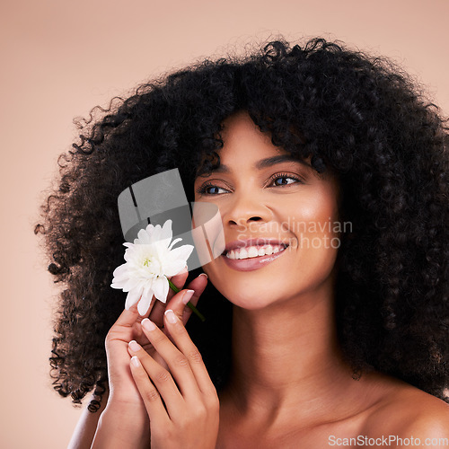 Image of Hair care, face and thinking black woman with flower in studio isolated on a brown background. Floral cosmetics, natural beauty and happy female model holding flowers for salon treatment or wellness.