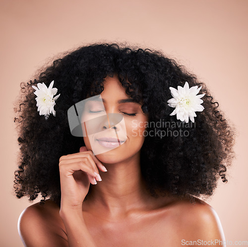 Image of Eyes closed, face and black woman with flowers for hair care in studio isolated on brown background. Floral cosmetics, hairstyle makeup and beauty of happy female model with plant for salon treatment