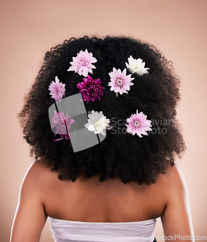 Image of Hair care, back and beauty of black woman with flowers in studio isolated on a brown background. Sustainability, floral cosmetics and female model with salon treatment for natural growth or hairstyle