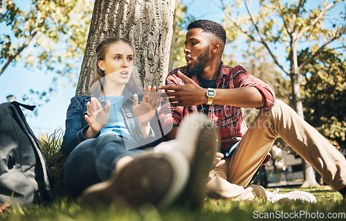 Image of Interracial couple, fight and outdoor with upset young people angry on summer holiday. Conversation, conflict and break up discussion of a woman and man sitting by tree together talking about problem