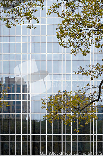Image of Buildings of Glass