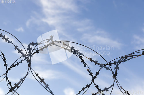 Image of barbed wire