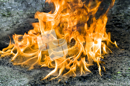 Image of orange hot flames