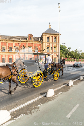 Image of Typical Andalusian horses with carriages