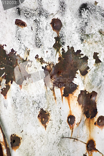 Image of Rusted Bullet Holes