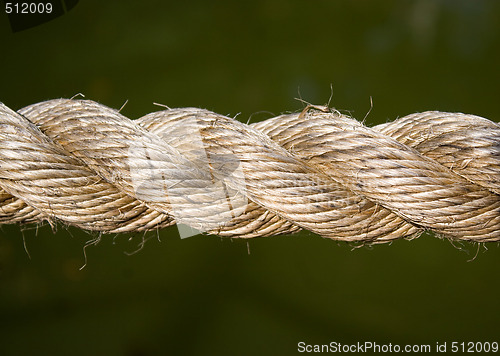 Image of Rope Macro