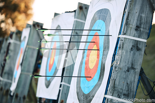 Image of Arrows in archery circle or target for competition, game or learning in field outdoor for sports background. Sport event, icon or eye goal with arrow on board for gaming, adventure and shooting