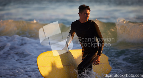 Image of Sea, sports and surfing with a man in the water by the beach for fitness or training for a competition. Ocean, wetsuit and surfboard with a male athlete outdoor for an exercise or workout routine