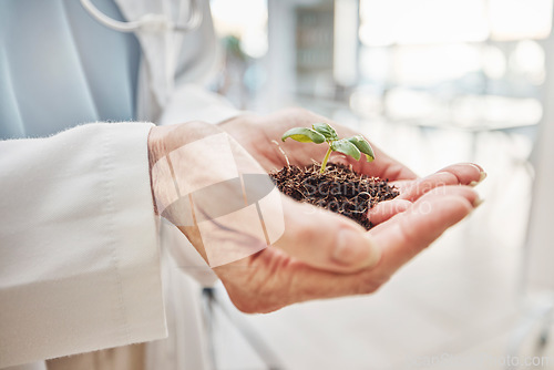 Image of Science, hands and scientist with plant in the lab for research, experiment or agro test. Sustainable, agriculture and professional female agronomist with soil and green leaf in scientific laboratory