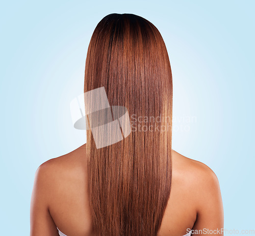 Image of Back, hair care and beauty of black woman in studio isolated on a blue background. Hairstyle, keratin cosmetics and aesthetics of female model with salon treatment for growth, texture and balayage.