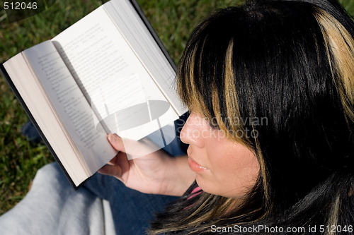 Image of Reading a Book