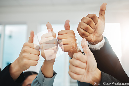 Image of Thumbs up, success closeup and group of people winning, support or thank you hands sign. Yes, like or winner team, business employees and vote, teamwork agreement and well done emoji in collaboration