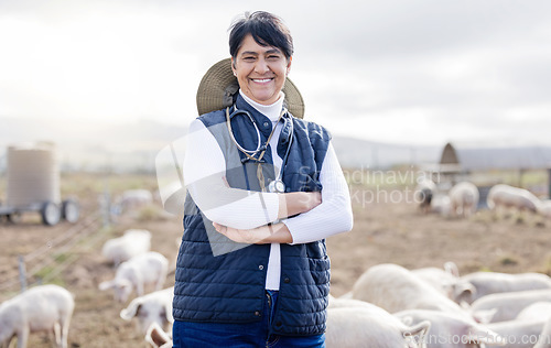 Image of Veterinarian portrait, pig or happy woman with animals to check livestock wellness or agriculture on farm. Smile, face or senior person working to protect pigs healthcare for barn or sustainability