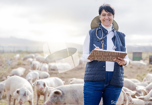 Image of Portrait, pig or veterinarian writing on farm with animals, livestock wellness or agriculture checklist. Smile, face or senior happy woman working to protect pigs healthcare for barn sustainability