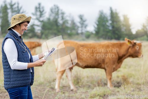 Image of Agriculture, cow veterinary and woman with clipboard for inspection, checklist and animal wellness. Farm, healthcare and happy senior vet working in countryside, cattle farming and rural livestock