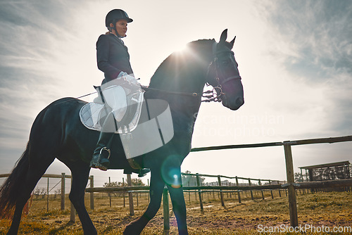 Image of Woman, equestrian, pet horse ride and mockup in nature on countryside grass field. Animal training, young jockey and farm of a rider and athlete with mock up outdoor doing saddle sports with horses