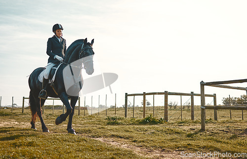 Image of Woman, equestrian, horse ride and mockup in nature in countryside and grass field. Animal training, young jockey and farm of a rider and athlete with mock up outdoor doing saddle sports with horses