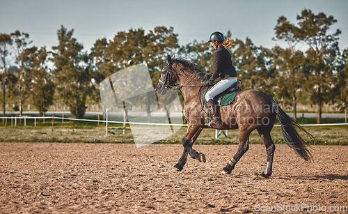 Image of Woman, equestrian training and horse ride with mockup in nature on countryside grass field. Animal, young jockey and farm of a rider and athlete with mock up outdoor doing saddle sports with horses