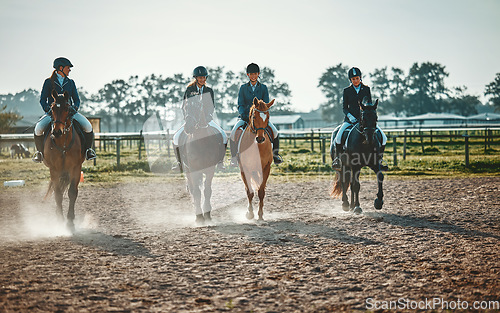 Image of Equestrian, group and women on a horse for sports, training and show on farm in Switzerland. Learning, lessons and girls horseback riding for a race, competition or professional event in countryside