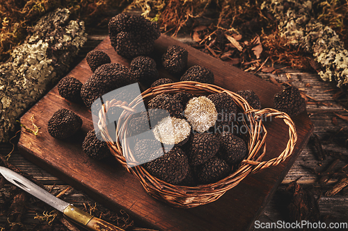 Image of Black truffle mushrooms