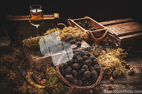 Image of Fresh whole black truffle