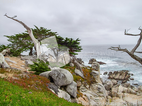 Image of idyllic coastal scenery in California