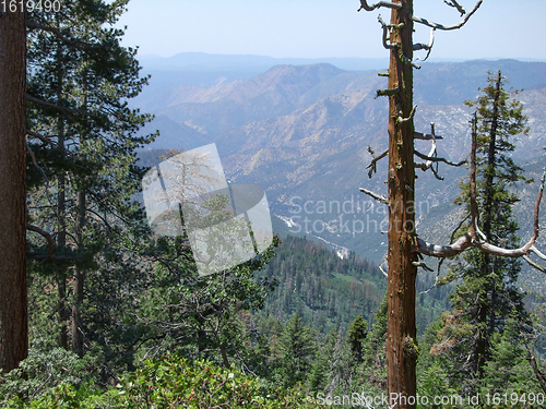 Image of Yosemite National Park