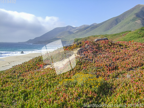 Image of idyllic coastal scenery in California