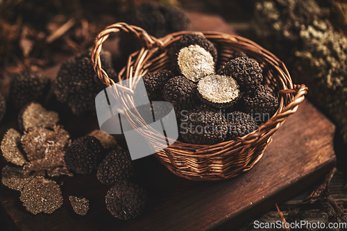 Image of Black truffle mushrooms