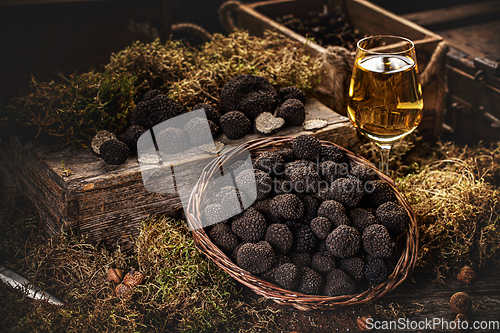 Image of Freshly picked black truffles