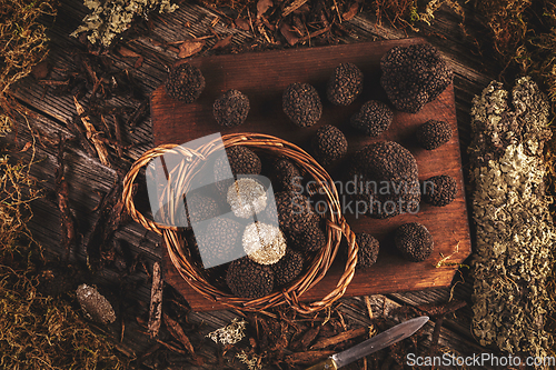 Image of Flat lay of black truffles mushrooms