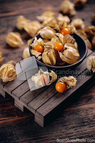 Image of Physalis peruviana or cape gooseberry
