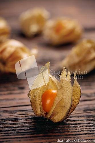 Image of Physalis fruit