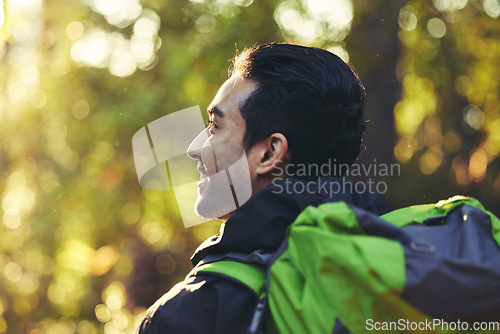 Image of Man, backpacker or hiking in forest woods, trekking in nature for travel in mockup adventure, relax workout or fitness exercise. Happy, smile or hiker in freedom environment for a person in wellness