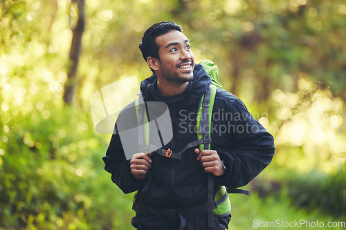 Image of Asian man, backpacker or hiking in nature forest, trekking woods or Japanese trees in adventure workout or fitness exercise. Smile, happy or environment hiker in travel freedom or healthcare mock up