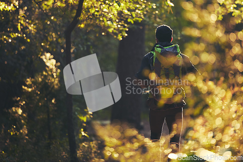 Image of Hiker, backpacking and hiking in nature forest, trekking woods or trees for adventure, relax workout or fitness exercise. Behind man, walking or person in environment, healthcare or morning wellness