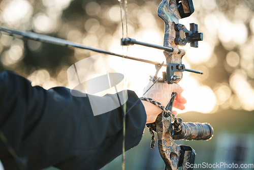 Image of Hands, bow and arrow with aim for target, training and exercise for goal, mission and learning for sport. Shooting range, competition and archer with accuracy, exercise and focus for archery sports