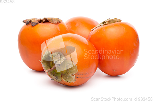 Image of Persimmon fruits on white 