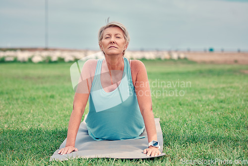 Image of Cobra stretching, senior woman and exercise at park for workout, training and fitness. Elderly lady, yoga and flexible body outdoor on mat, grass and nature for wellness, healthy lifestyle or push up