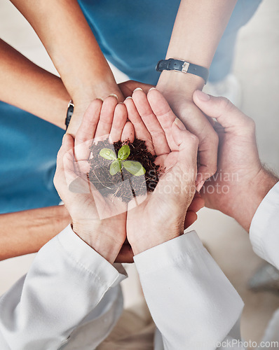 Image of Group, hands support and seedling plant for doctors, teamwork or growth in medical career with mission. Doctor, nurse and top view of hand circle for solidarity, healthcare or team building for trust