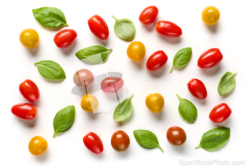 Image of various colorful tomatoes and basil leaves