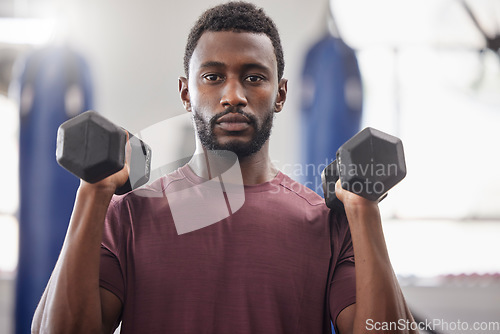 Image of Black man, portrait and dumbbell workout in gym for strong power, wellness exercise and serious mindset. Bodybuilder, fitness and male training with weights for health, sports energy or muscle growth