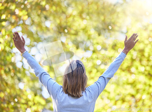 Image of Woman, park and back with hands in air for nature, gratitude and self care for mindfulness in sunshine. Gen z girl, stretching and sun worship for freedom, zen or wellness to start morning with peace