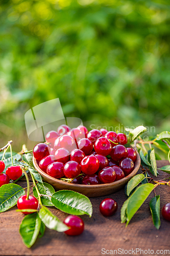 Image of Bowl of fresh ripe cherries