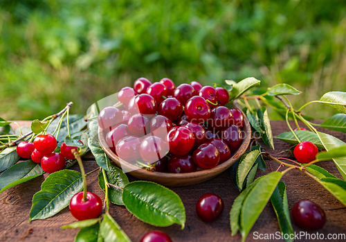 Image of Juicy sour cherries