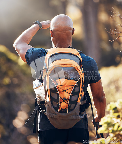 Image of Backpacking, hiking and relax with black man in forest for sports, training and workout. Fitness, peace and freedom with hiker trekking in nature enjoying view for travel, adventure and environment