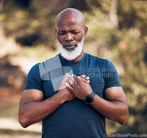 Image of Black man, pain and heart attack from outdoor exercise, running workout or health. Senior sports male, chest and stroke of fitness emergency, asthma and risk of cardiac arrest, body injury or problem