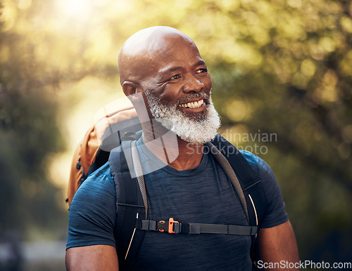 Image of Fitness, hiking and happy with black man in forest for freedom, health and sports training. Exercise, peace and wellness with senior hiker trekking in nature for travel, summer break and adventure